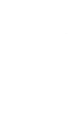 The True North Collective